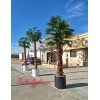 درخت پالم مصنوعی